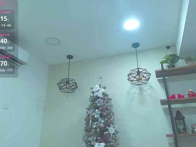 Victoria-Collins webcam