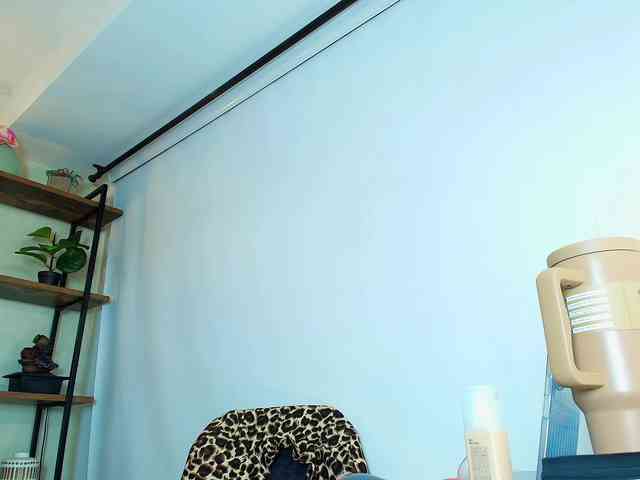 Victoria-Collins webcam