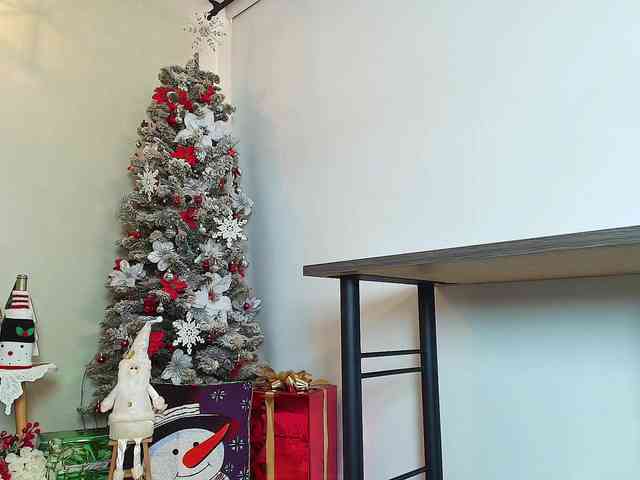 Victoria-Collins Victoria-Collins