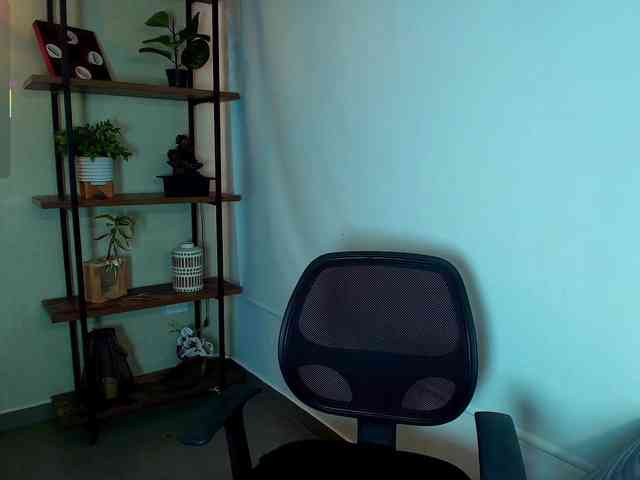 Victoria-Collins webcam