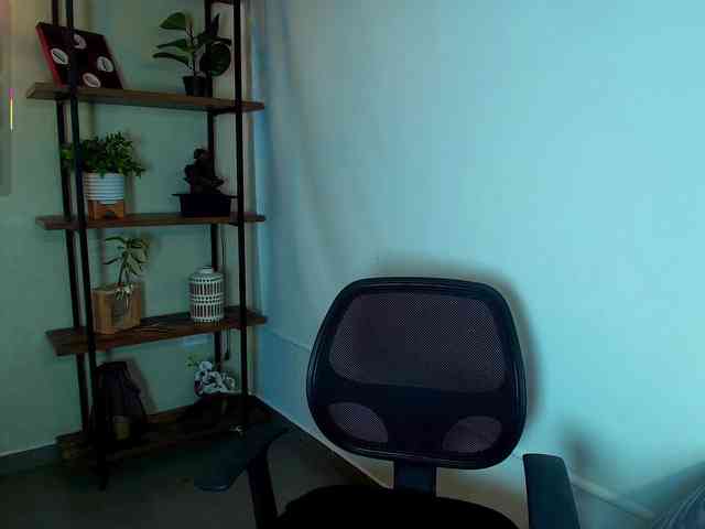 Victoria-Collins webcam