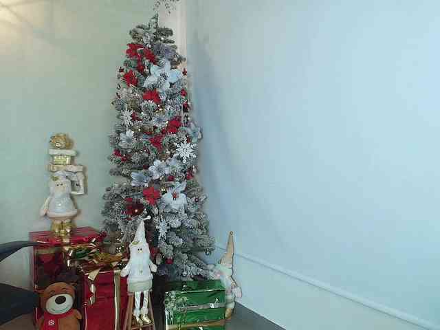 Victoria-Collins webcam