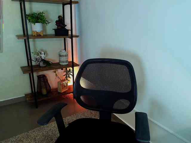 Victoria-Collins webcam