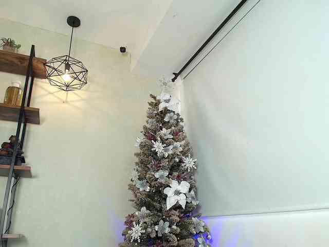 Victoria-Collins webcam