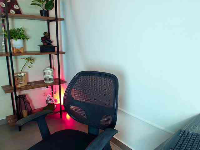 Victoria-Collins webcam