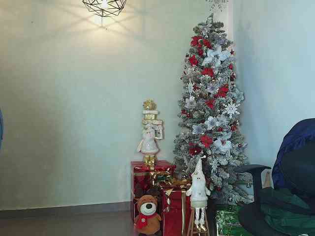 Victoria-Collins webcam