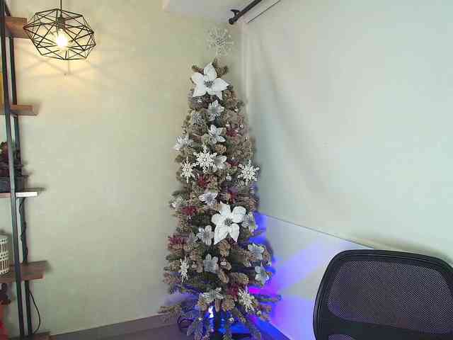 Victoria-Collins webcam