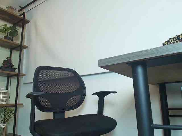 Victoria-Collins webcam