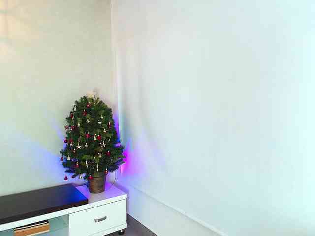 Victoria-Collins webcam