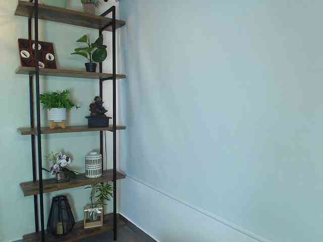 Victoria-Collins webcam