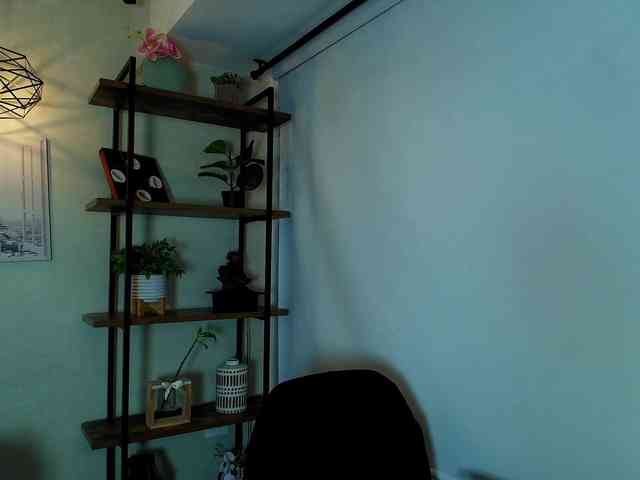 Victoria-Collins webcam