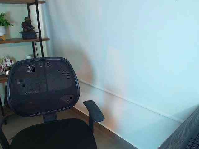 Victoria-Collins webcam