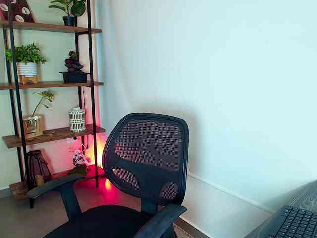 Victoria-Collins webcam