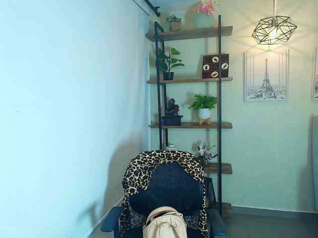 Victoria-Collins webcam