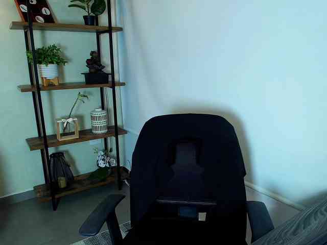 Victoria-Collins webcam