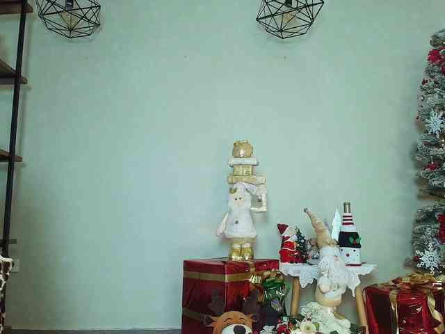 Victoria-Collins webcam