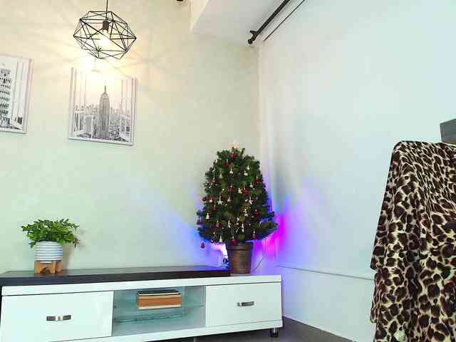 Victoria-Collins webcam