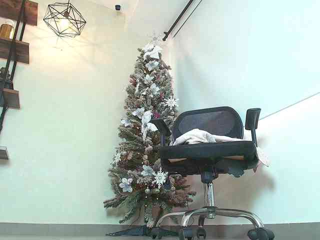 Victoria-Collins webcam