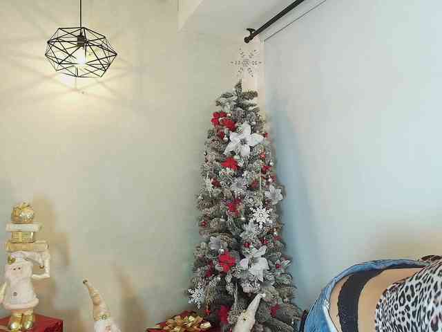 Victoria-Collins webcam