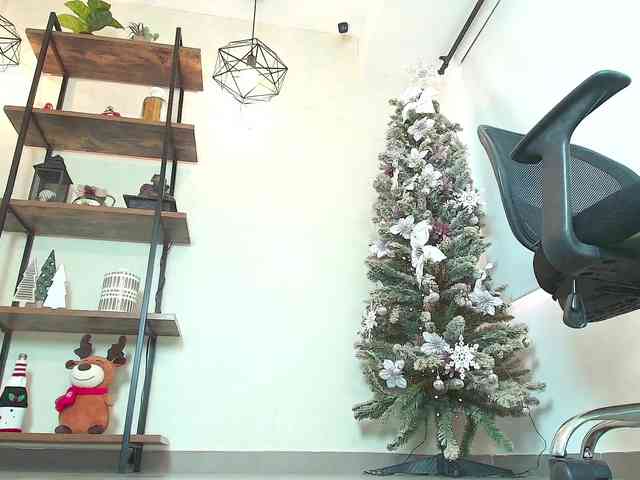 Victoria-Collins webcam