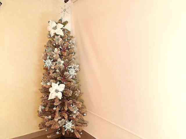 Victoria-Collins webcam