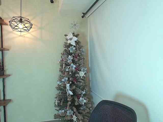 Victoria-Collins webcam