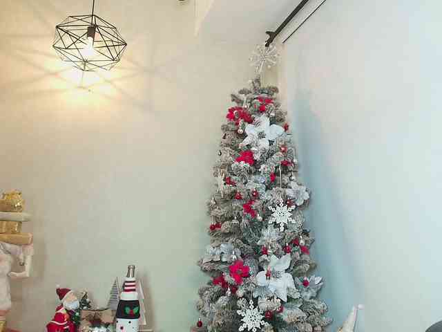 Victoria-Collins Victoria-Collins