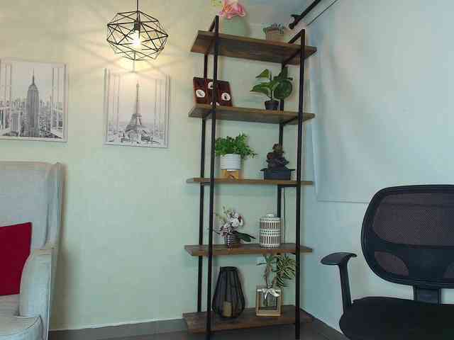 Victoria-Collins webcam