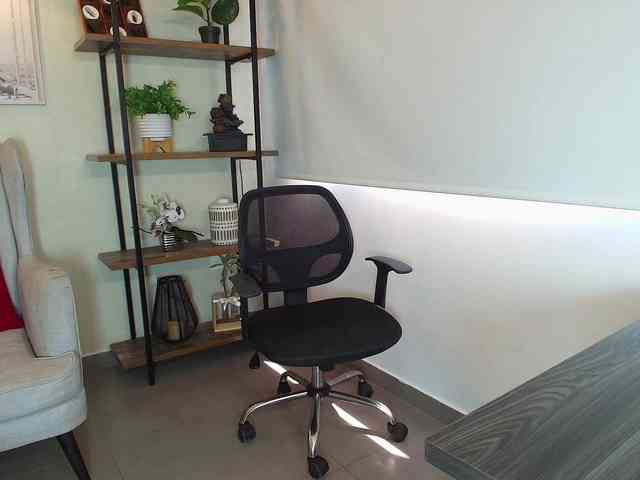 Victoria-Collins webcam