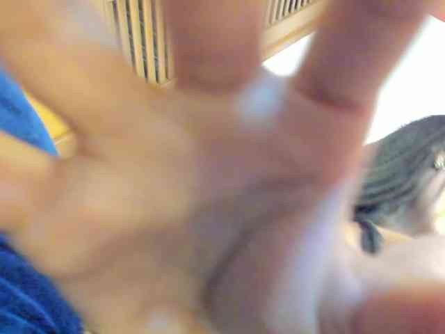 DannyOg17 webcam