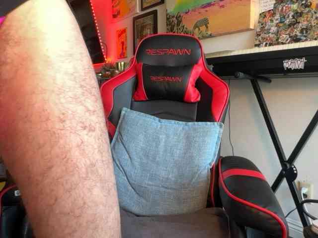 Pupscritch Pupscritch