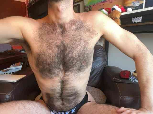 Pupscritch Pupscritch