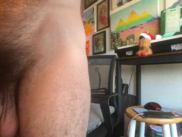 Pupscritch Pupscritch