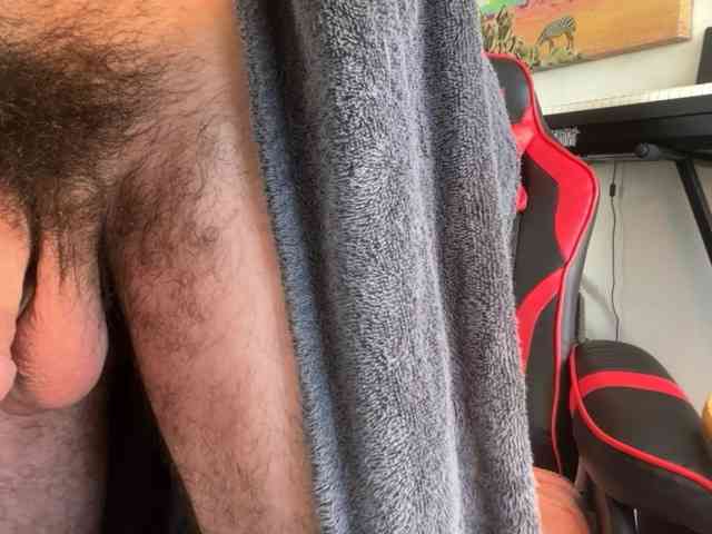 Pupscritch Pupscritch