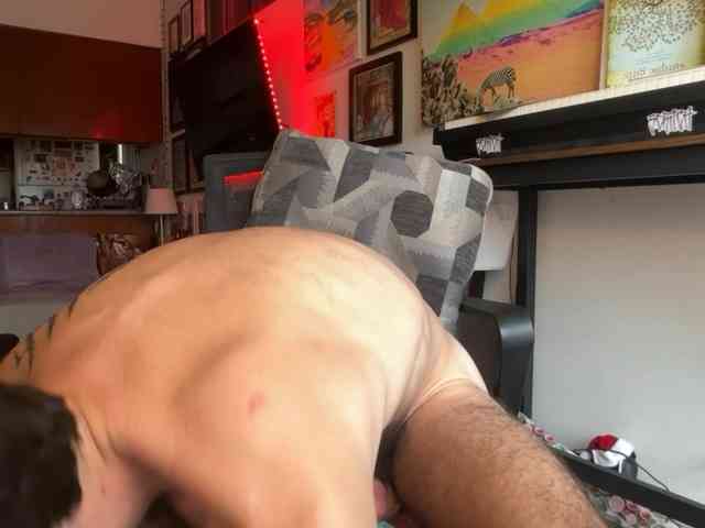 Pupscritch Pupscritch