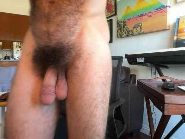 Pupscritch Pupscritch