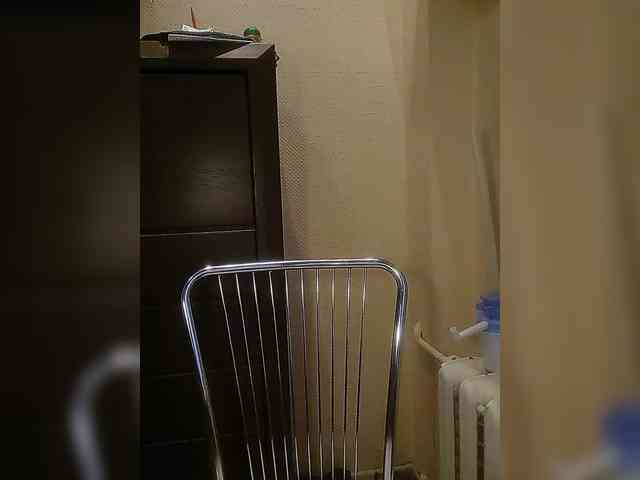 Natali48 webcam