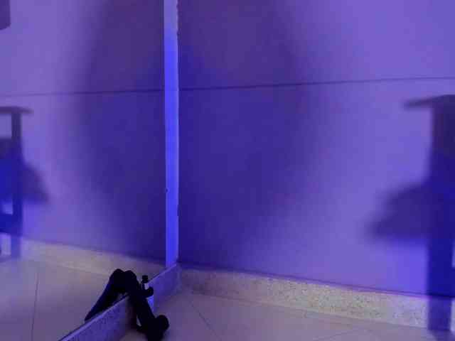 my-aleja- webcam