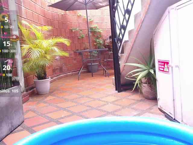 my-aleja- webcam