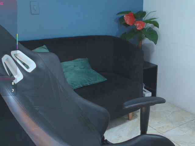 Zamira-Taylor webcam