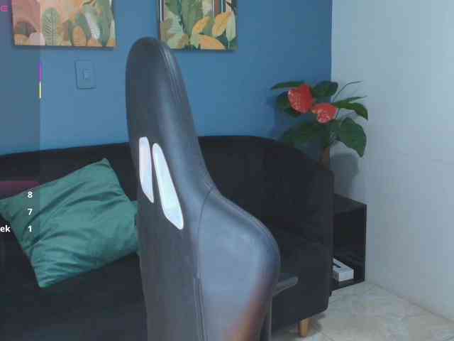 Zamira-Taylor webcam