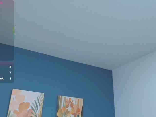 Zamira-Taylor webcam