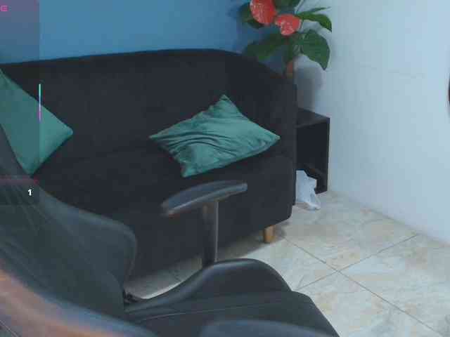 Zamira-Taylor webcam