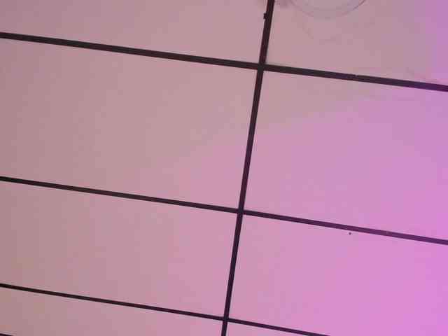 Sophia-lemos webcam