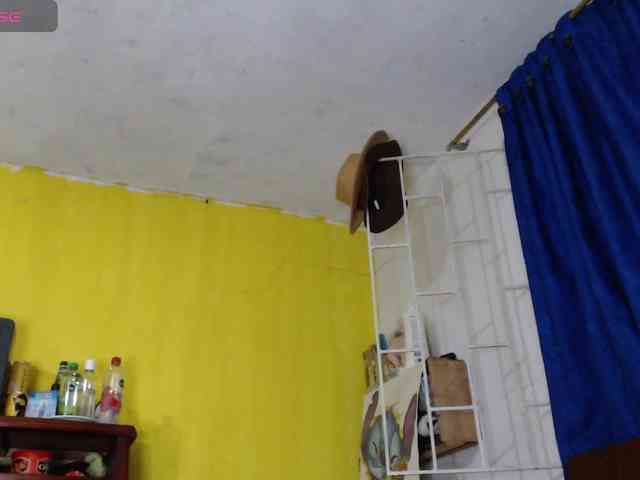 evatoms webcam