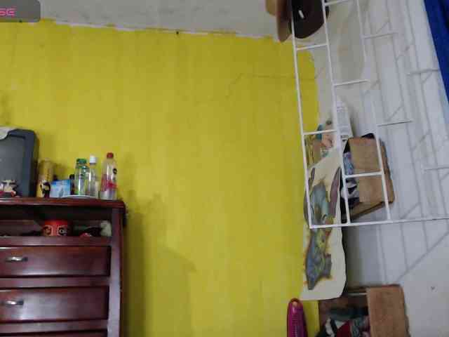 evatoms webcam