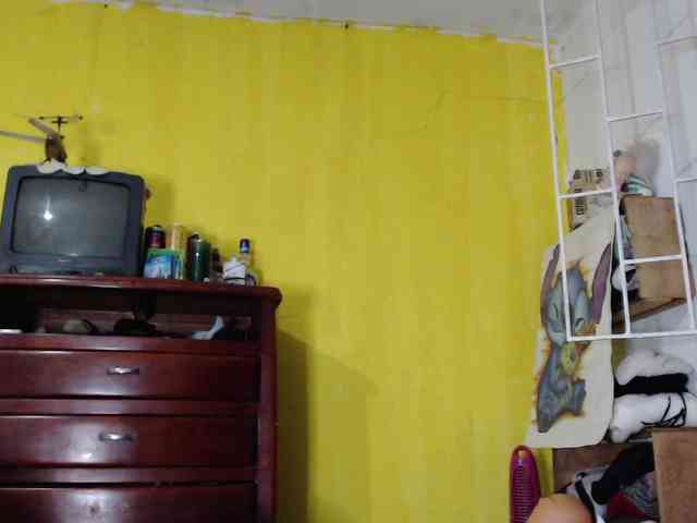 evatoms webcam