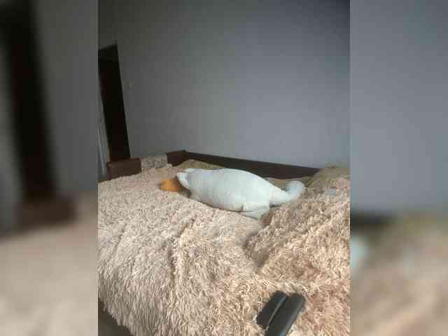 Xyligana webcam