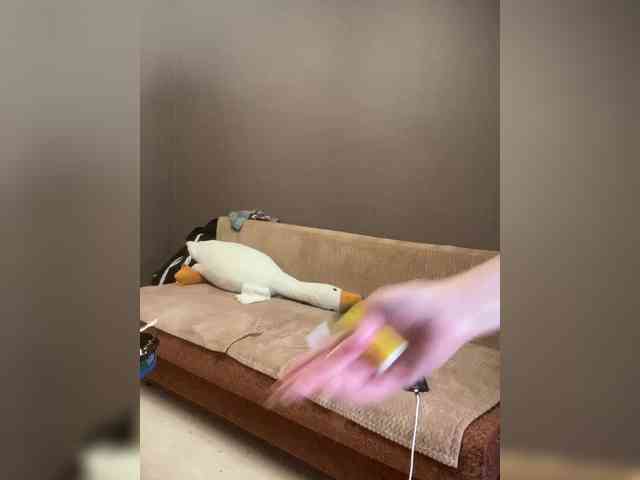 free live cam Xyligana