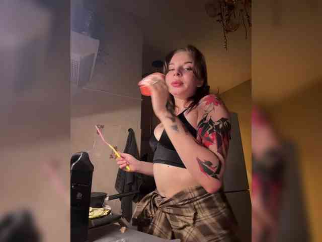 Lady-shy webcam